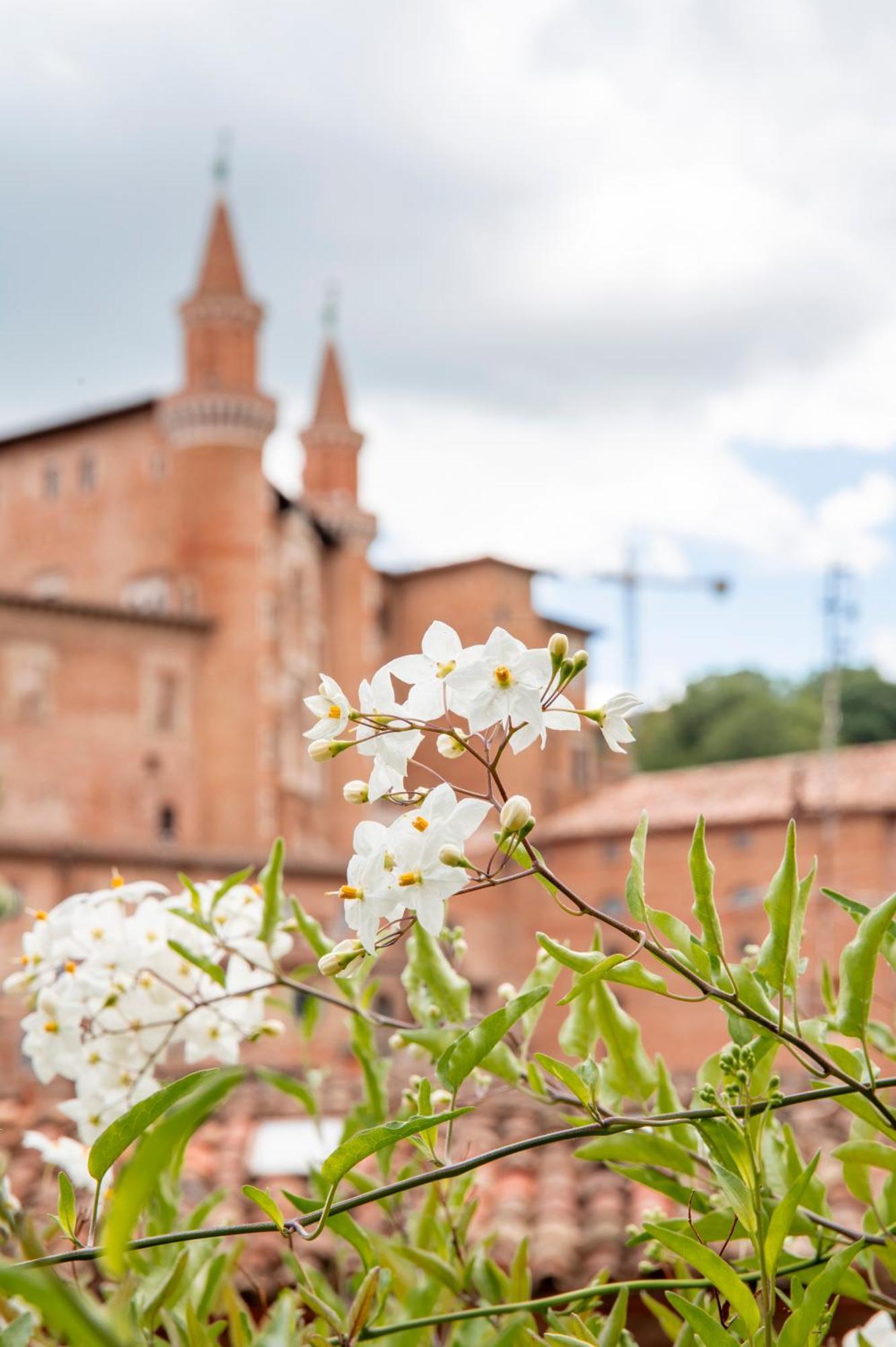Urbino Apartment - Torricini View Bagian luar foto